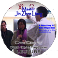 Jin Zhen Liang Chen Style Tai chi video