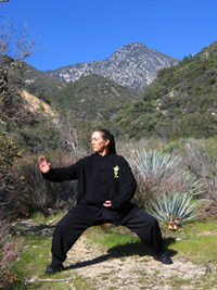 Susan Matthews Tai Chi and Qigong Master